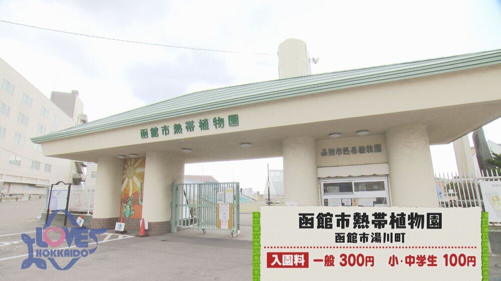 nettaisyokubutsuen.jpg