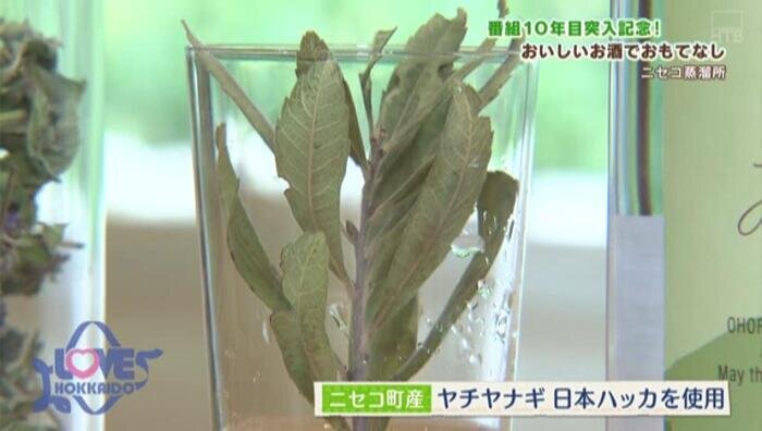 nisekojoryu_21.jpg